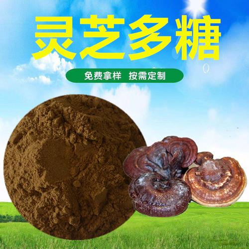 灵芝多糖50%粉末状西北多糖厂家